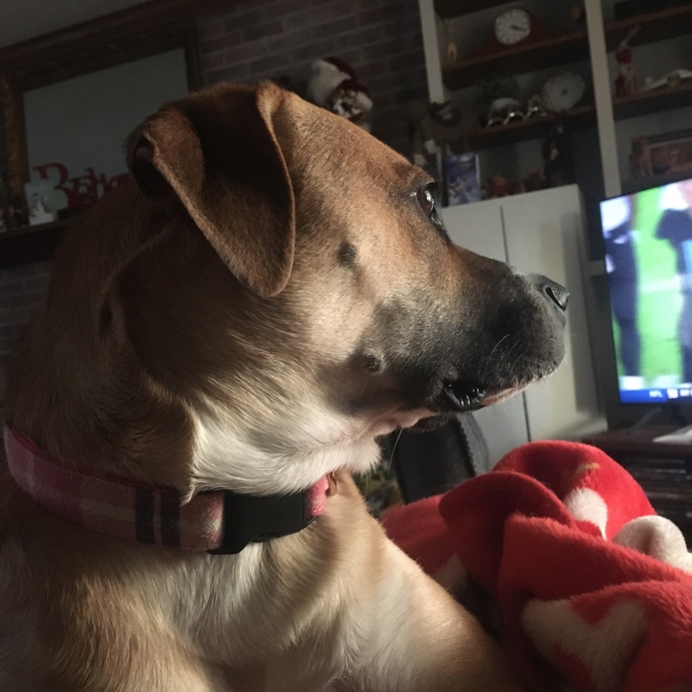 Meet your Posher, Kevin